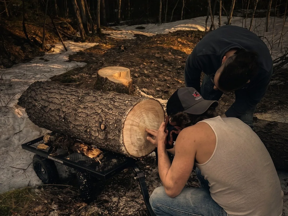 The crew checking a fresh cut in the bush
